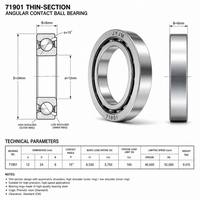 Rodamiento de Bolas de Contacto Angular Ultraligero JYJM OEM 71901C 12x24x6mm 15 Grados de Alta Precisión para Piezas de Maquinaria de Motor de Husillo CNC