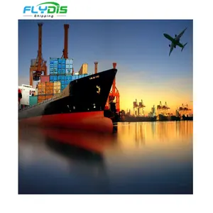 Il più economico mare trasporto marittimo porta-a-porta di servizio DDP dalla Cina al Pakistan