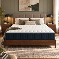 Matelas sous vide de 22 cm avec ressorts ensachés de 20 cm et tissu tricoté pour projets hôteliers, appartements et vente en gros de meubles