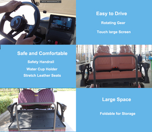 Fabricants usa personnalisé buggy levé chariot aigle voiture oem voiturettes de golf - Product Image 2