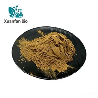 Fabrieksdirect verkochte Tribulus Terrestris zaadextract 10:1 98% Saponinen poeder trommel CAS 90131-68-3 bulk kruiden grondstof