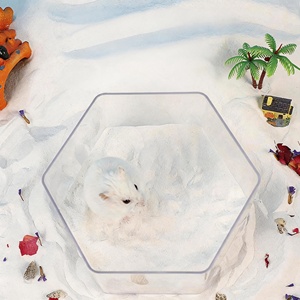Plastic Hamster Sand Bathroom Toilet Dual Use House for Dwarf Hamster Gerbil Small Pet <strong>Bedding</strong> - Product Image 5
