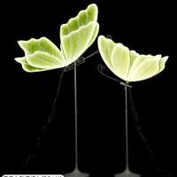 YC Meilleures ventes : Décorations lumineuses suspendues en forme d'ailes de papillon en fer pour mariages