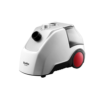 Nouveau design Puissant vapeur de tissu de fer à gaz 2000w Vapeurs de vêtement électriques pour vêtements