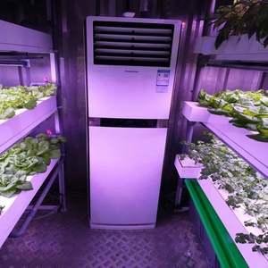 One-one MOBILE INDOOR VERTICAL GROW RACK SYSTEMS for HEMPS GROWING - Product Image 3
