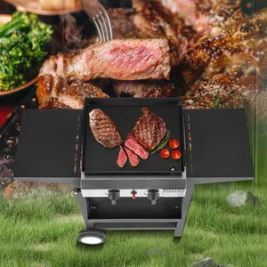 2 quemadores Propano Plancha Barbacoa al aire libre hamburguesa plancha Flat Top Gas Grill