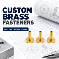 Rivets sur mesure de précision, fabricant OEM ODM, fixations métalliques spéciales produites à partir de dessins ou d'échantillons CAD PDF