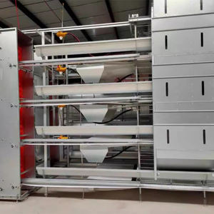 Automatische Batterij Laag Kippenkooi Apparatuur Voor Pluimveebedrijf Voor Kippen Duiven Vogels Verkoop Eierlaag Kippenhok - Product Image 3