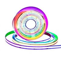 Lampu Strip LED COB Addressable 576LEDs Warna Berjalan RGB Full-Color Flowing Lights IP20 12V/24V