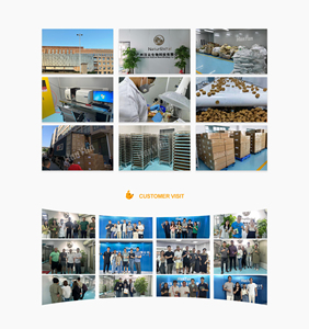 OEM özel etiket Pet böbrek fonksiyon takviyesi köpekler ve kediler için sıvı damla Normal sıvı ve elektrolit dengesine destek - Product Image 5