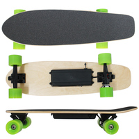 Planche à roulettes longboard électrique, OEM, sans bpa, petits poissons