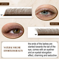 Extensions de cils Fox 5D YY en forme de C/D, effet œil de renard spectaculaire, naturelles, moelleuses et douces, plateau de cils, vente en gros, fournisseur de cils