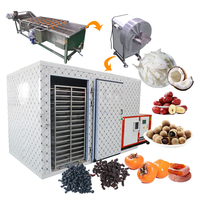 Industriële fruitdroogmachine voor persimmon, longan, jujube, bramen, moerbei, kokosnoot, droogmachine Sri Lanka