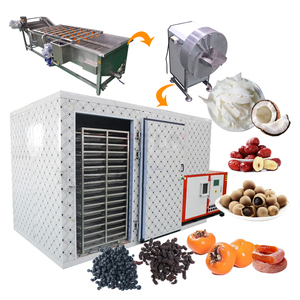 Máquina Industrial para Secar Frutas, Secadora de Caqui, Longan, Jujube, Mora, Coco, para Sri Lanka - Product Image 1