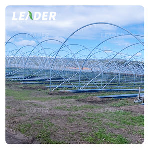 Agricultura Totalmente accesible 10m Película <span class=keywords><strong>de</strong></span> polietileno Cubierta <span class=keywords><strong>de</strong></span> lluvia Blueberry Invernadero Diseño <span class=keywords><strong>de</strong></span> producción Túnel <span class=keywords><strong>de</strong></span> oruga - Product Image 5
