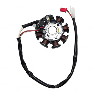 Nuevo <span class=keywords><strong>Magneto</strong></span> de Encendido de Motor de Pedal de CC de 8 Polos DUOGAO YMH-100/110cc, Piezas de Latón - Product Image 1