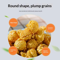 180g Fabrieksgemaakte - Verse Popcorn: een Heerlijke Keuze voor Snackliefhebbers - Karamel, Regenboog Fruit, Roomige Smaken