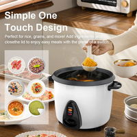 Cuisinière à riz miniature de type tambour avec couvercle en verre, revêtement antiadhésif mécanique, pour un usage domestique, UL ETL