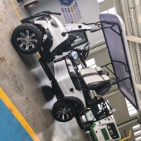 Voiturette de golf électrique au lithium 4 places tout-terrain, véhicule utilitaire à forte capacité de charge pour la chasse, la ferme, le transport en station balnéaire