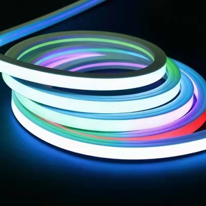 Venta al por mayor 5M 6x12mm 10x20mm luz de neón 24V 12V SMD5050 individualmente direccionable o monocromo silicona PVC LED Flex luz de neón