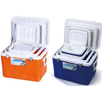 En stock, boîte isotherme multifonctionnelle pour pique-nique, randonnée, camping, boîte isotherme rigide pour glace et bière, ensemble de 4