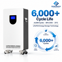 Batterie de stockage solaire 51,2 V 300 Ah 15,36 kWh LiFePO4, système de stockage d'énergie domestique avec CAN RS485