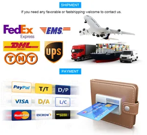 International transport loaded global airborne/shipping cost rates Sea/Courier express's office forwarder loaded