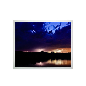 Nueva Pantalla LCD de 19.0 Pulgadas 1280LCR*1024 SXGA 86PPI EV190E0M-N50 a Bajo Precio para Uso Industrial - Product Image 1