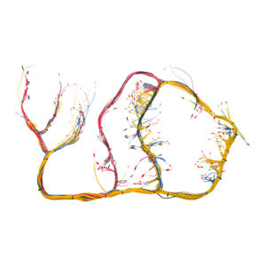 Kunden spezifische Kabelbaum kabel für Industrie anlagen - Product Image 4