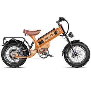 Bicicleta Eléctrica de Montaña Romeo R60C 60v 70ah con Doble Motor y Neumáticos Anchos para Adultos // - Product Image 4
