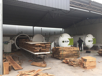 Séchoirs de traitement du bois sous vide HF Four à bois SAGA 4.5
