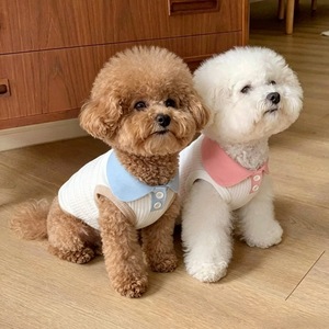 [618] Camiseta Polo a Rayas para Perros y Gatos - Dropshipping Disponible para Bichón Frisé, Teddy Bear y Perros Pequeños - Estilo Veraniego - Product Image 2