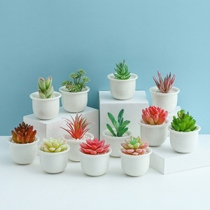 Nuevo Soporte Giratorio para Plantas con 6 Macetas de Cerámica para Suculentas, <span class=keywords><strong>Maceta</strong></span> Decorativa para Escritorio, <span class=keywords><strong>Maceta</strong></span> Colgante para Plantas, Cactus, Bonsái - Product Image 4