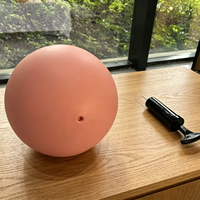 Ballon de yoga mini de haute qualité de 20 cm avec pompe, en PVC souple et épaissi, écologique, pour l'entraînement du tronc et le Pilates