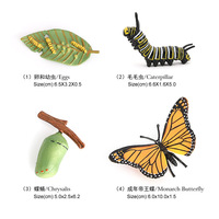 Figuras de Animales de PVC Sólido al por Mayor, Figuras del Ciclo de Vida de Mariposa, Rana y Araña