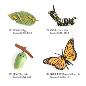 Figuras de Animales de PVC Sólido al por Mayor, Figuras del Ciclo de Vida de Mariposa, Rana y Araña - Product Image 2