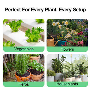 Hydroponische <span class=keywords><strong>pH</strong></span>-up & Down Kit 250 ml <span class=keywords><strong>PH</strong></span>-balansoplossing Aanpassing voor sla-pepergroentenplanten - Product Image 6