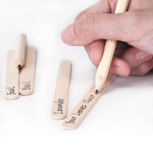 Vaso Moderno <span class=keywords><strong>per</strong></span> Fiori Kit di Coltivazione Erbe e Semi Materiale in Polpa Biodegradabile Ecologico <span class=keywords><strong>per</strong></span> Uso Interno ed Esterno in <span class=keywords><strong>Giardino</strong></span> - Product Image 6