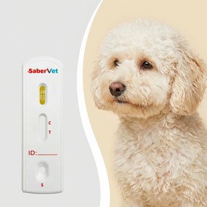 반려견 강아지 핫셀링 급속 검사 키트, 강아지 핵분열증 바이러스 항원 신속 진단 키트 CDV Ag 진단 테스트 스트립 - Product Image 1