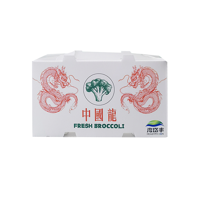 Customer Design Cold Chain Use Pp Corrugated Box Fresh Broccoli Box