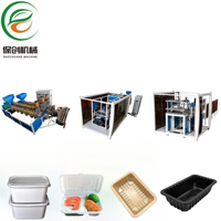 Ligne de production automatique complète pour la fabrication de boîtes alimentaires jetables en plastique PP, boîtes à lunch, contenants à emporter