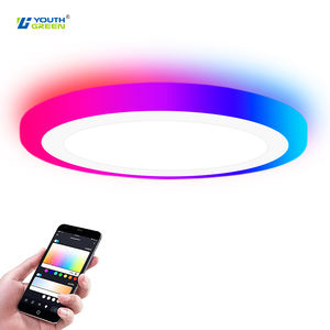 14 pulgadas 24W + 3W Alexa Google Home Smart RGB Regulable Ultra Delgado LED Luz de <span class=keywords><strong>techo</strong></span> con luz nocturna para el hogar - Product Image 1