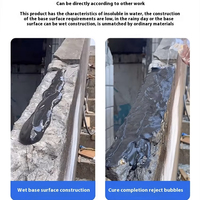 Scellant imperméable en polyurée en gros, peinture de revêtement de toiture pour la réparation des fuites de béton, le remplissage des fissures, la protection des joints de carrelage mural