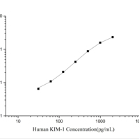 Kit ELISA CellaQuant pour la molécule 1 de la maladie rénale humaine (KIM-1)