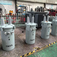 Transformador Monofásico de Montaje en Poste de 75 kVA, 100 kVA, 167 kVA, 10 kV, 110 V/220 V, Transformador de Distribución de Energía
