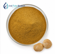 Natuurlijk gedroogd Hericium Erinaceus paddenstoelenpoeder extract Leeuwenmanen paddenstoelenextract