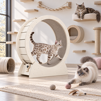 Tapis roulant silencieux pour chat, avec rouleaux rotatifs, en bois, design écologique
