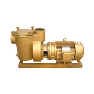 Pompes de <span class=keywords><strong>piscine</strong></span> électriques Pompe à eau de <span class=keywords><strong>piscine</strong></span> à circulation en cuivre Filtre en laiton Pompe à chaleur 5hp pour piscines - Product Image 3