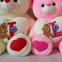 Valentijnsdag Teddybeer Zachte Pluche Speelgoed Borduurwerk Polyester Gevuld Cadeau