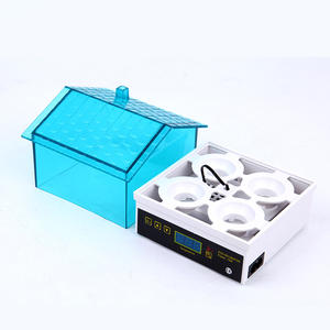 Juguetes educativos para niños, Control automático de temperatura, 4 huevos, miniincubadora - Product Image 4